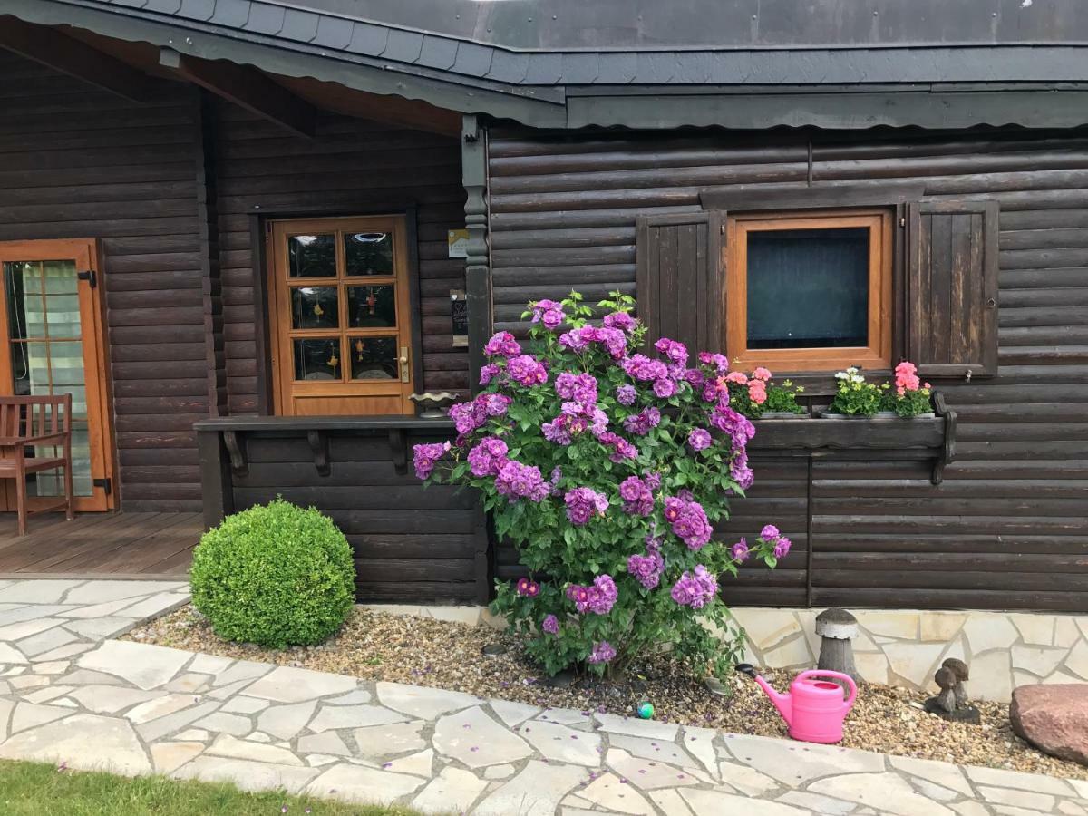 Holzhaus Harz Villa Schielo Exterior photo